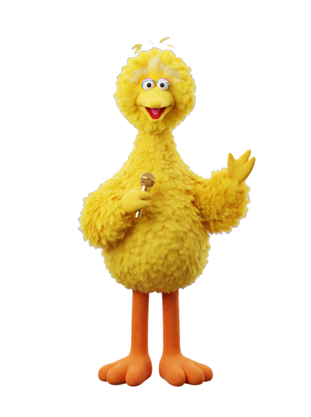 Big Bird